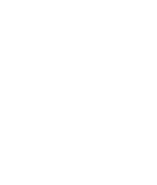 UPS
